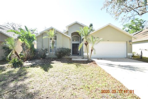 2521 CLARESIDE DRIVE VALRICO FL 33596