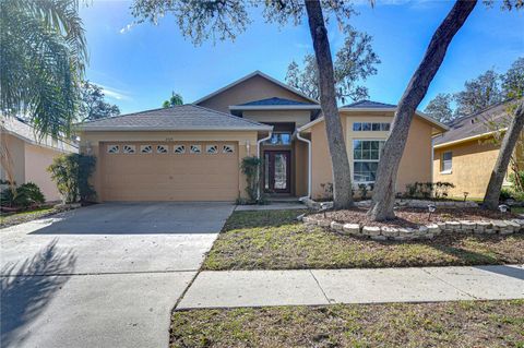 A home in VALRICO