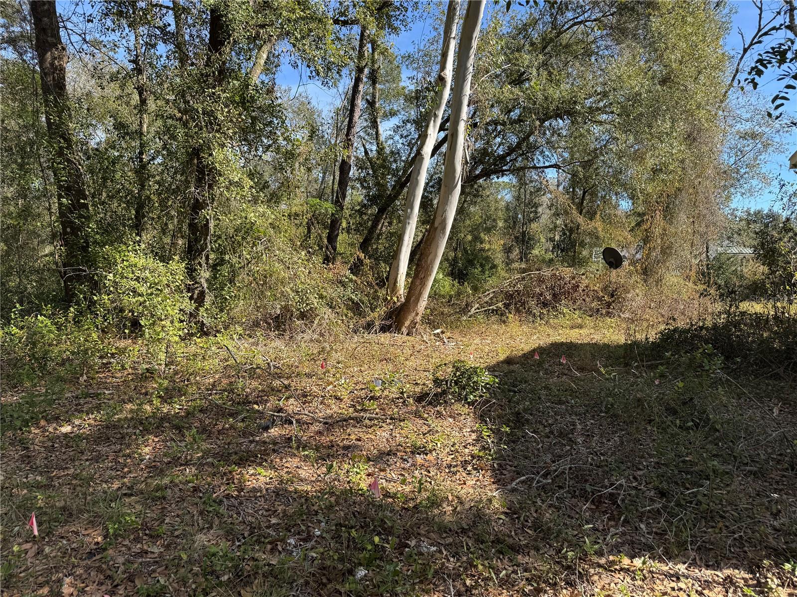 UNPLATTED - Residential