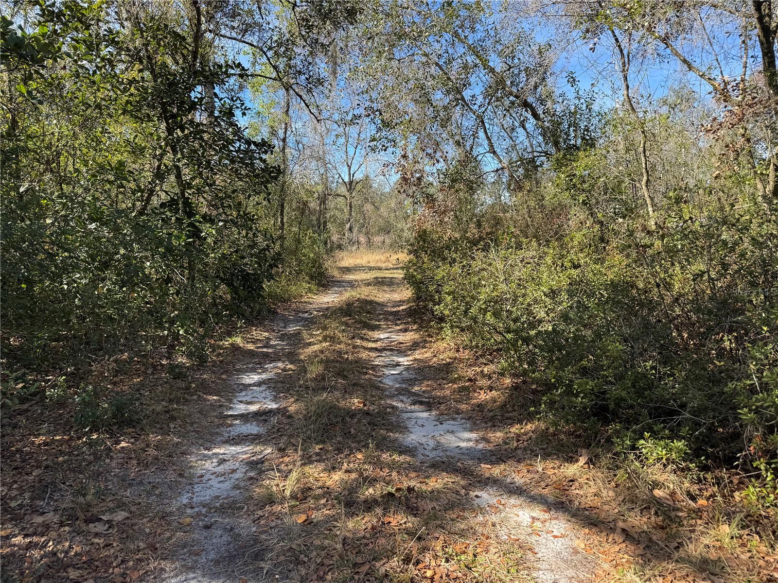 UNPLATTED - Residential