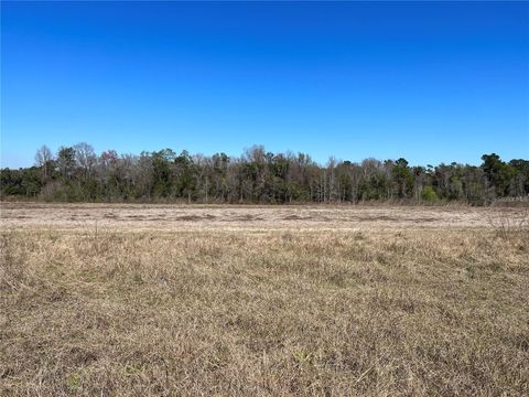LOT 4B E HWY 318 FORT MC COY FL 32134