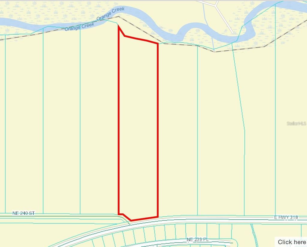 Photo of 4 E Hwy 318, Fort Mccoy, FL 32134 (MLS # OM712982)