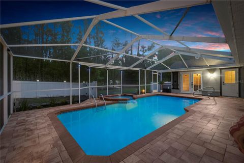 Tiny photo for 9 Plumbago Court, Homosassa, FL 34446 (MLS # TB8410901)