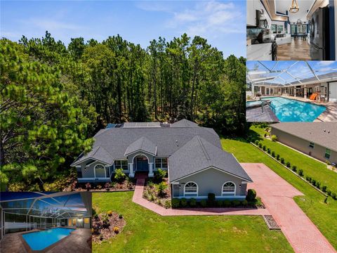 9 PLUMBAGO COURT HOMOSASSA FL 34446