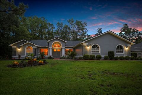 Tiny photo for 9 Plumbago Court, Homosassa, FL 34446 (MLS # TB8410901)