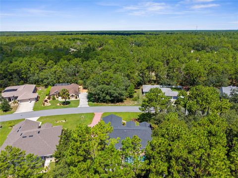 Tiny photo for 9 Plumbago Court, Homosassa, FL 34446 (MLS # TB8410901)