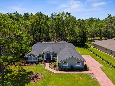 Tiny photo for 9 Plumbago Court, Homosassa, FL 34446 (MLS # TB8410901)