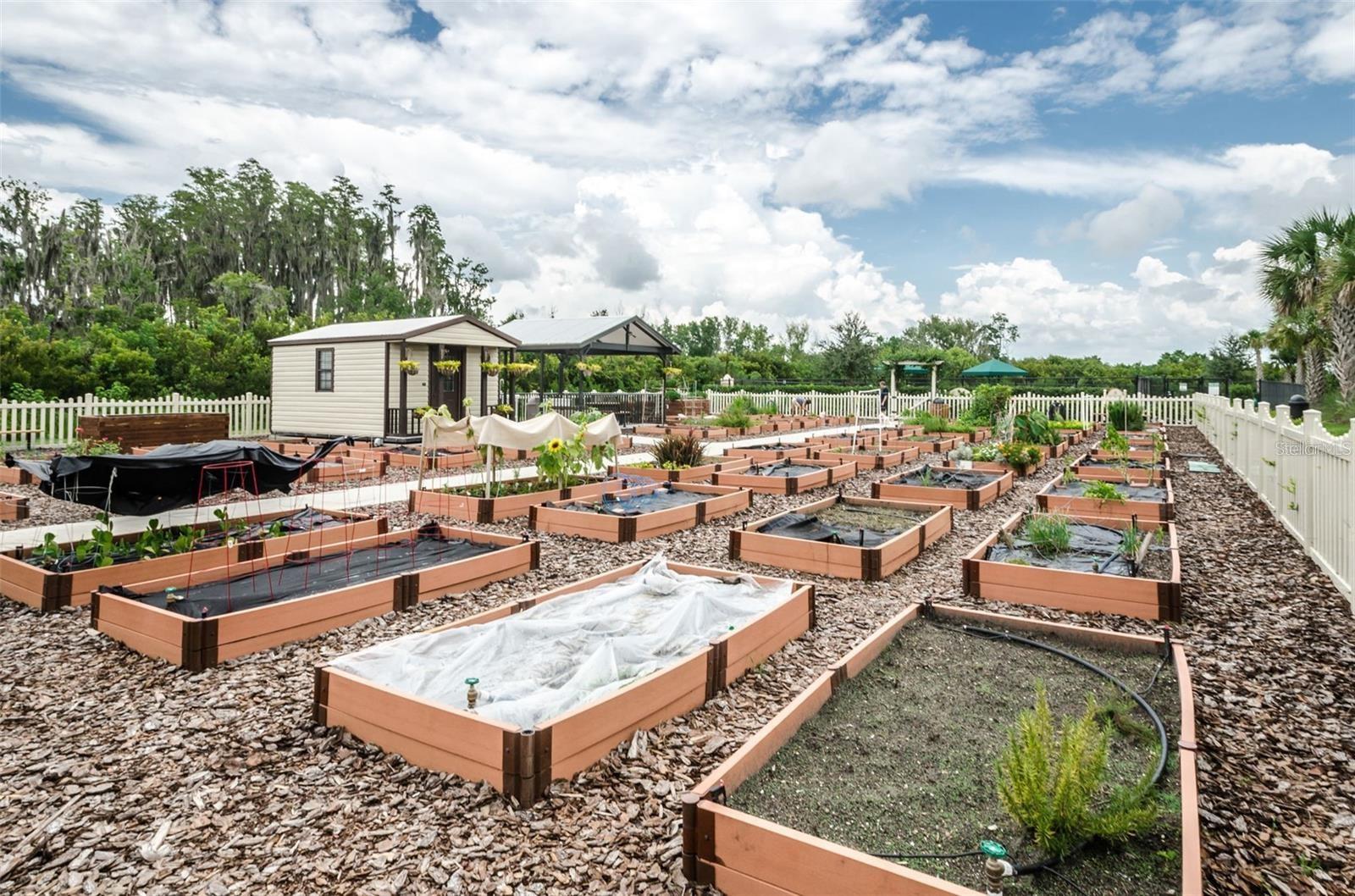VALENCIA LAKES - Residential