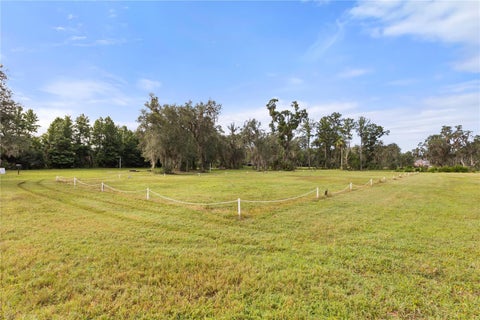 Tiny photo for 32839 Webbs Way, Sorrento, FL 32776 (MLS # O6418255)
