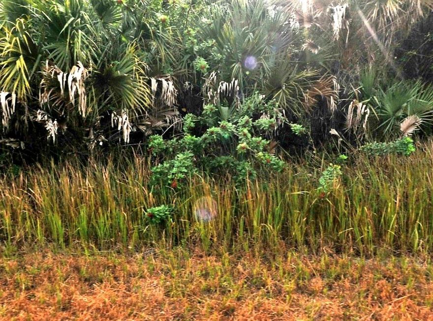 This beautiful lot offers the opportunity to build your dream home in a rapidly growing area with a greenbelt in the rear. It’s conveniently located near all amenities, making it super close to everything you want to be. The close proximity to I-75 provides quick access to Sarasota or Ft Myers, while the Port Charlotte mall area and restaurants are just minutes away. What are you waiting for? Please note that all measurements are approximate, and the buyer is responsible for verifying all information.