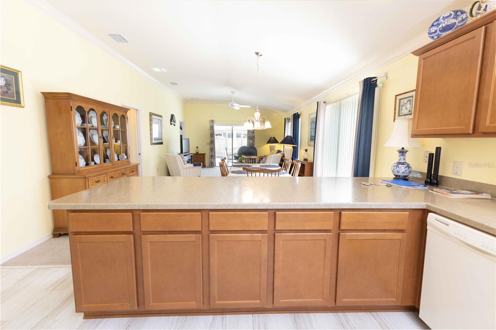 VILLAGES OF SUMTER COTTONWOODVILLAS - Residential