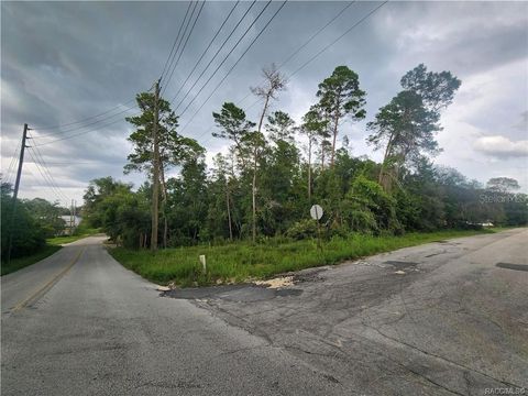 3006 & 3008 CLEARWOOD INVERNESS FL 34452