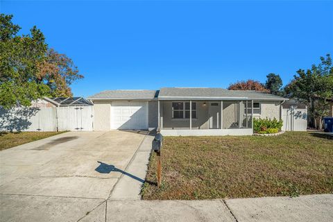 Photo of 7321 Parrot Drive, Port Richey, FL 34668 (MLS # TB8446733)