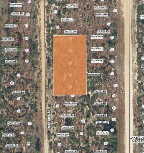 XX MANATEE STREET INTERLACHEN FL 32148