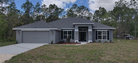 Photo of 16295 Pomp Parkway, Weeki Wachee, FL 34614 (MLS # OM720760)