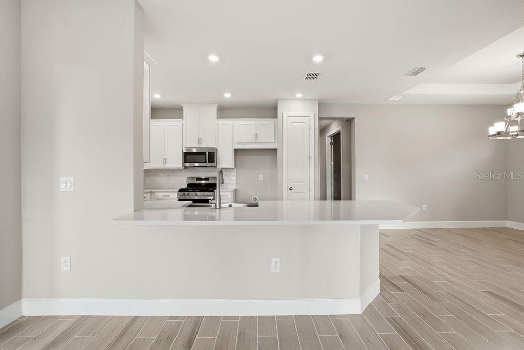 Photo of 29536 Zupetta Lane, Wesley Chapel, FL 33545 (MLS # TB8368963)