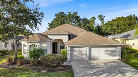 Single Family Residence in LAND O LAKES FL 22707 EAGLES WATCH DRIVE.jpg