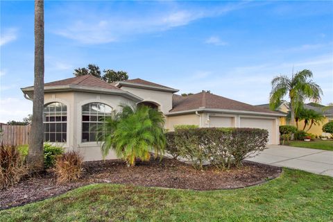 A home in LAND O LAKES