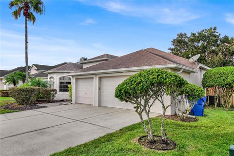 A home in LAND O LAKES