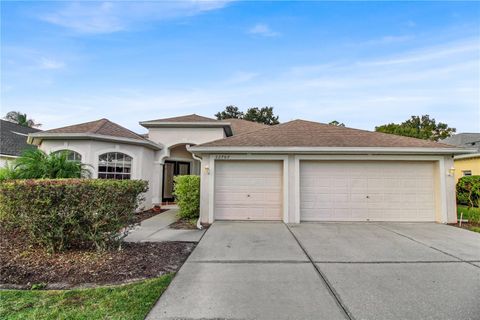 A home in LAND O LAKES