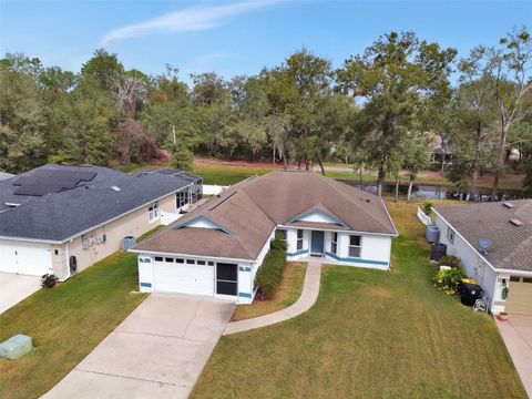 A home in ORANGE CITY