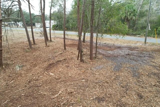 LAKE KATHRYN HEIGHTS REP - Land