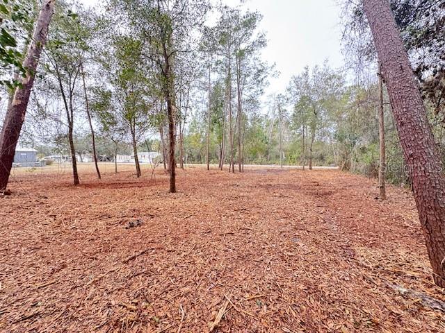 LAKE KATHRYN HEIGHTS REP - Land