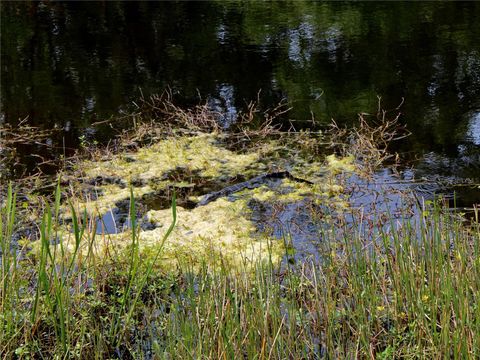 listing image 72