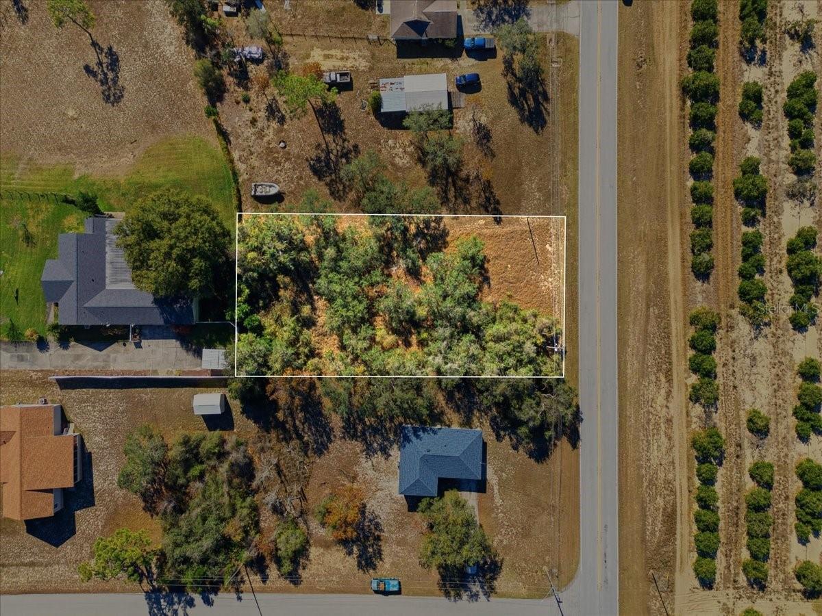 CONNECTICUT ESTATES PH 01 - Land