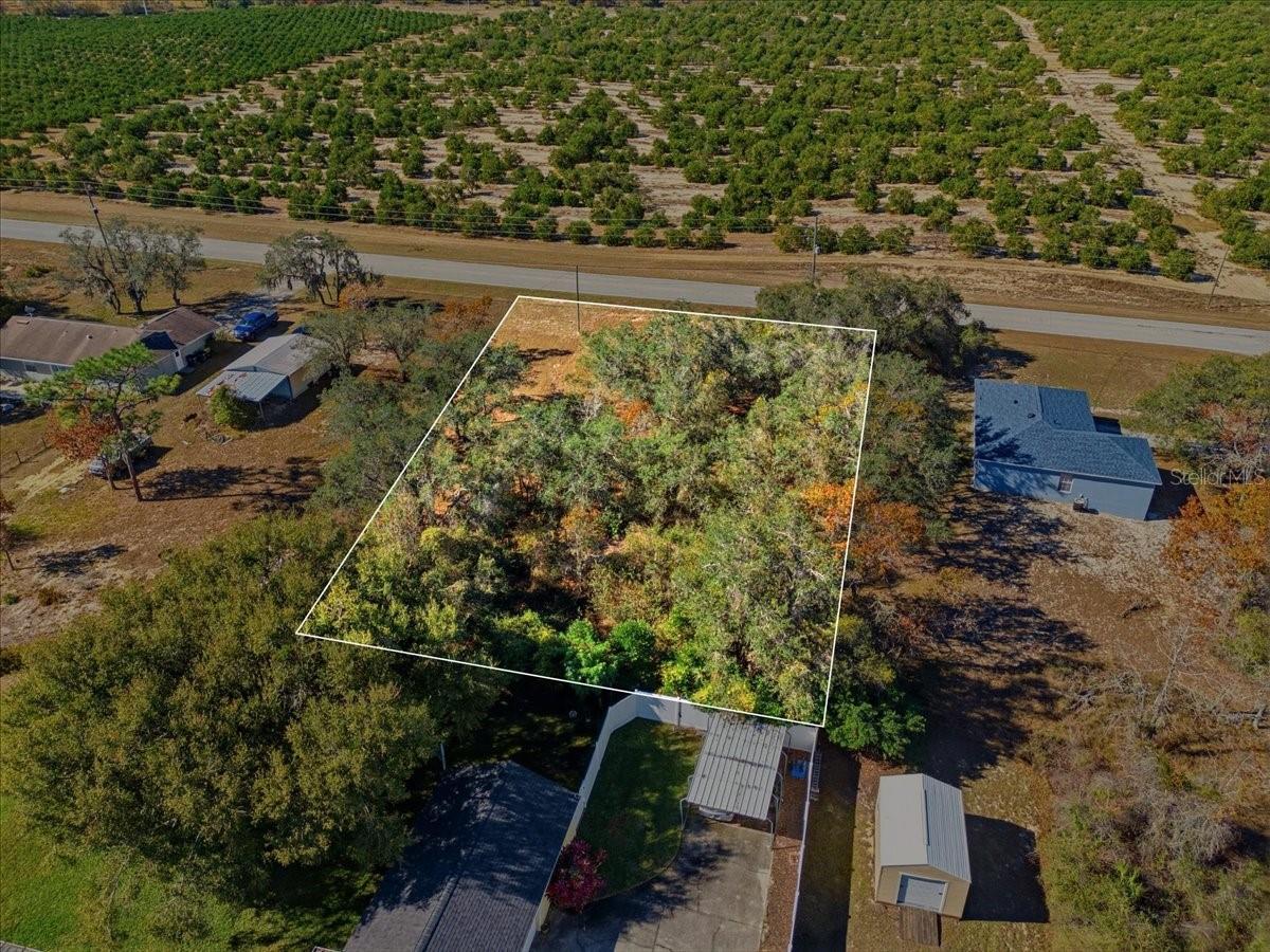 CONNECTICUT ESTATES PH 01 - Land