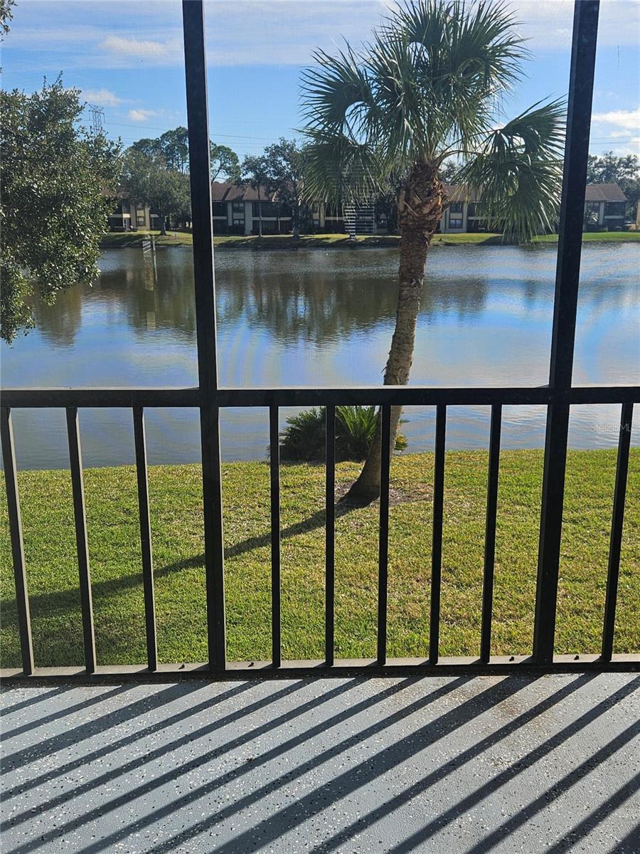 EAST LAKE WOODLANDS CYPRESS ESTATES - Residential Lease