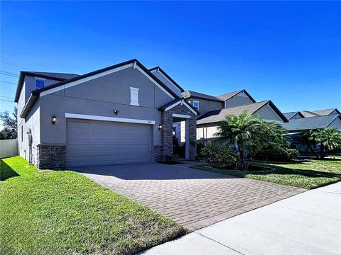 11411 CHILLY WATER COURT RIVERVIEW FL 33569