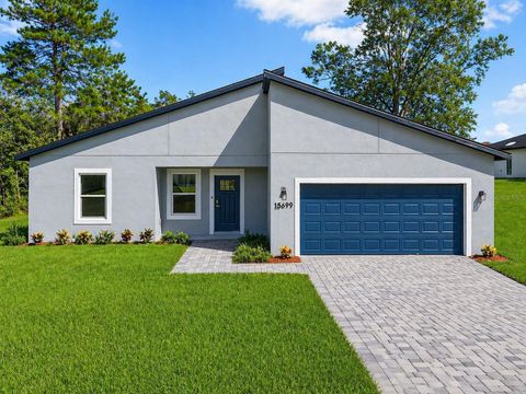 Photo of 15699 SW 27th Avenue Road, Ocala, FL 34473 (MLS # O6356138)