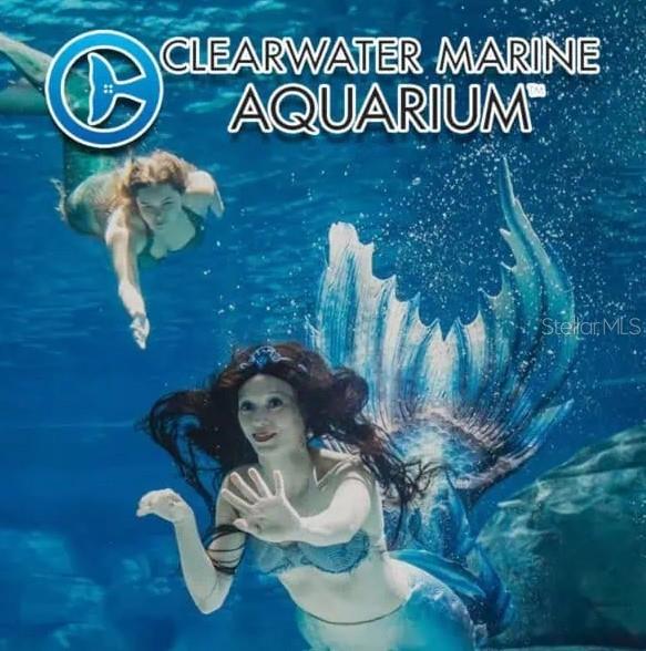 ON TOP OF THE WORLD - Residential