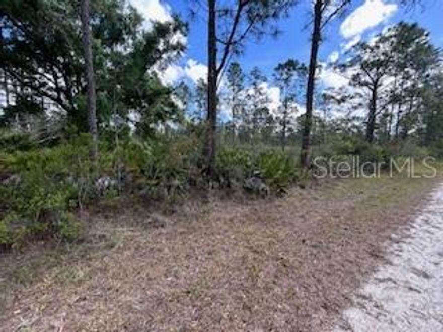 Each parcel in Indian Lake Estates has unique characteristics and deserves its own listing. This 1/2-acre parcel is located in an undeveloped block. The trees are lush and strong and provide sought-after shade from the Florida sun. Electric service will most likely come from the opposite end of the block. A well and septic are required if you are building. There are no visible neighbors at this time. This parcel is equidistant from the clubhouse and the fishing pier on Lake Weohyakapka. Lot owners have access to the private boat ramp, the marina, the fishing pier, and golf privileges on the 3-par executive public golf course every day of the year, as long as you keep current with your annual license fees. For 2026, the fees are $396.27 FOR THE YEAR! As you begin to plan your future in Florida, consider living a serene and private life in this neighborhood of Indian Lake Estates (informally, ILE). But don’t think it is all sunsets. The active community offers concerts, karaoke and trivia nights, weekly card games, bingo, movie nights, a book club, PLUS pickleball and tennis courts, just to name a few. The community clubhouse also has a restaurant open 7 days a week, complete with bar. There is another restaurant, along with storage facilities, in the commercial district. Indian Lake Estates is a perfect balance of privacy and activity. Call today or drive to the property to explore the possibilities.