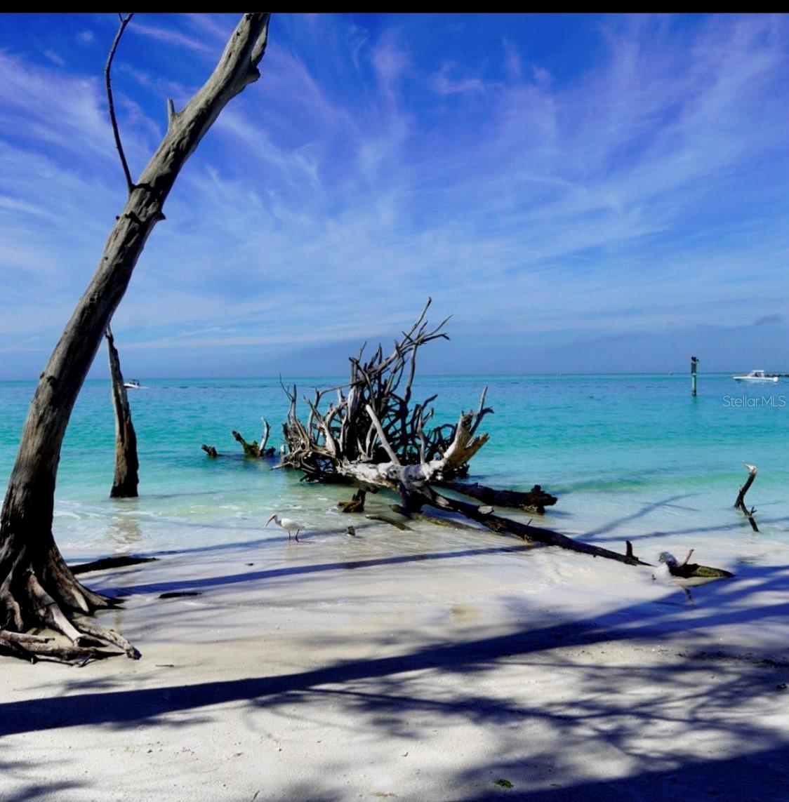 WHITNEY BEACH - Residential