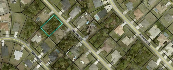 54 PINE CIRCLE DR, PALM COAST, FL 32164 - Image 9a30cc7b7ef2f8ee3f054bd91a56d9a3/4229365567