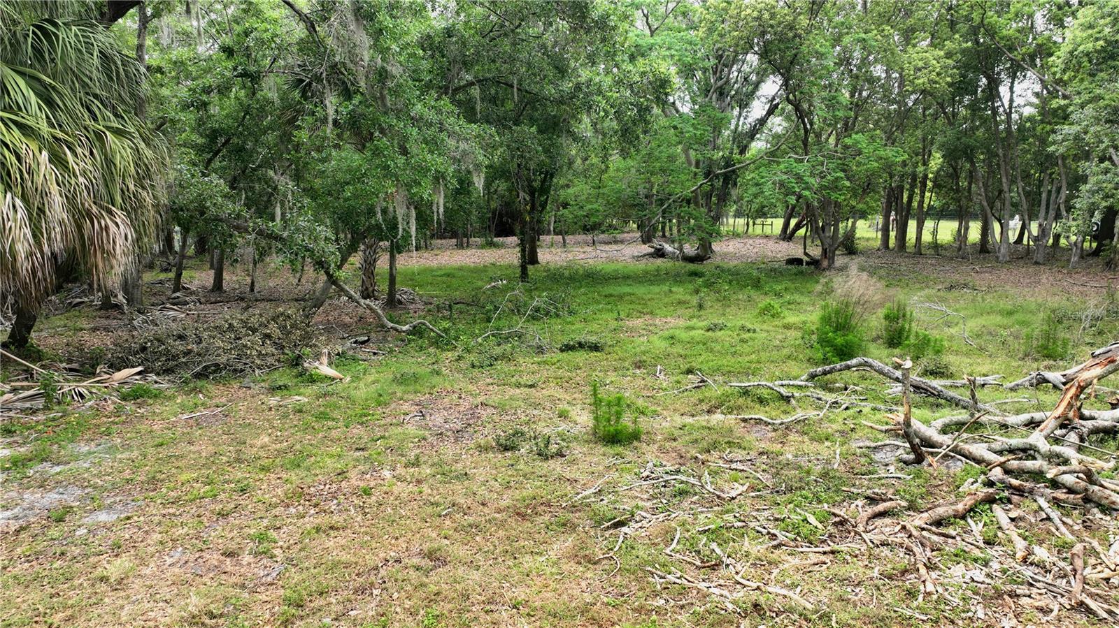OLD CONE GROVE ROAD