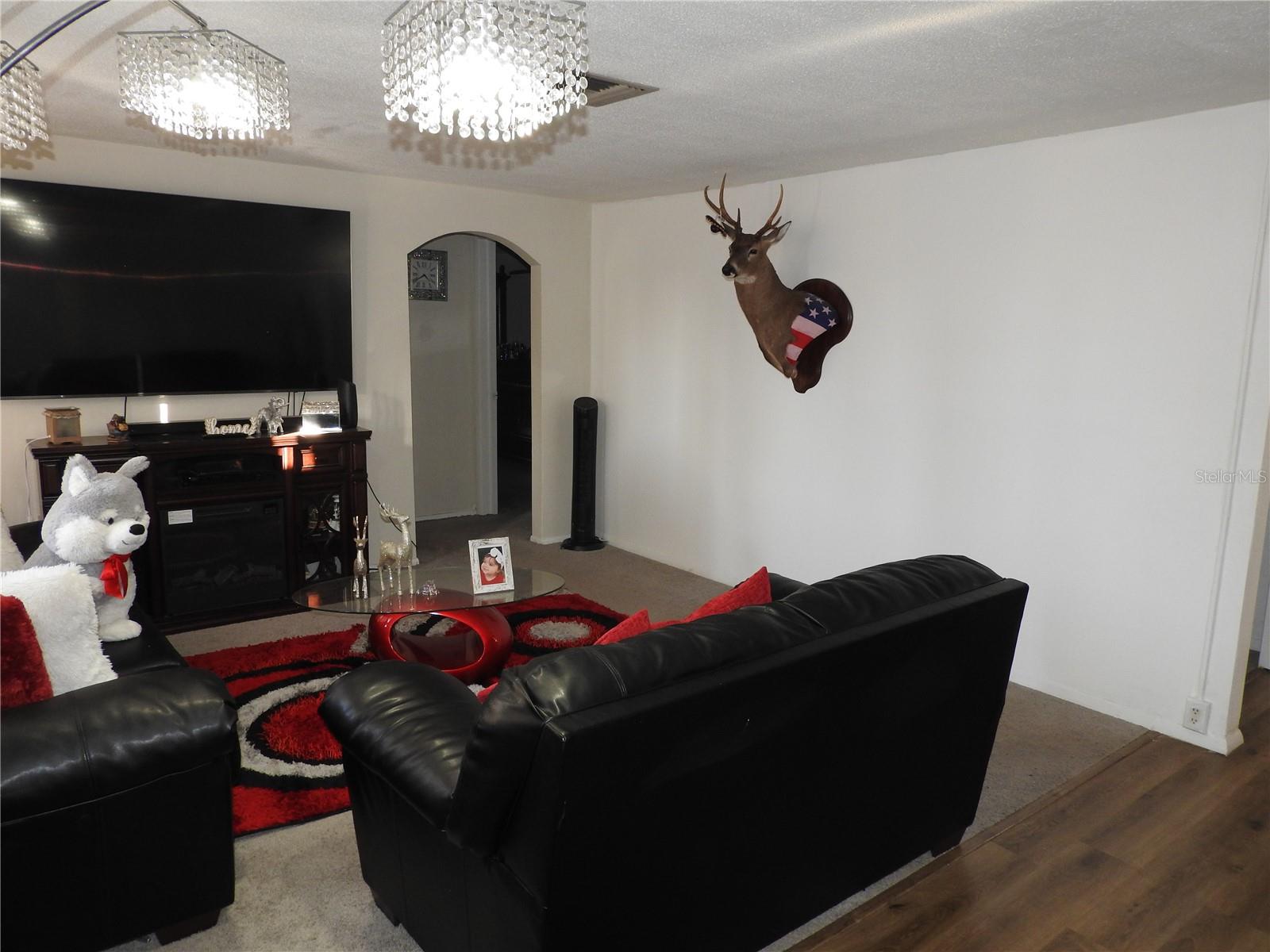 HOLIDAY LAKE ESTATES - Residential