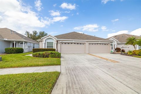 A home in LAND O LAKES