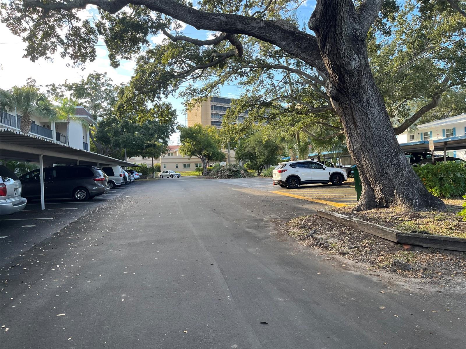 PATRICIAN OAKS - Residential Lease