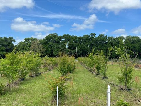 Tiny photo for 300 E Highway 316, Citra, FL 32113 (MLS # OM673823)