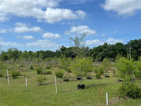 Tiny photo for 300 E Highway 316, Citra, FL 32113 (MLS # OM673823)