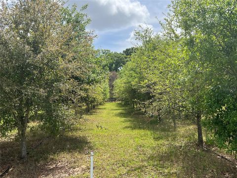 Tiny photo for 300 E Highway 316, Citra, FL 32113 (MLS # OM673823)
