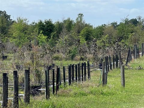 Tiny photo for 300 E Highway 316, Citra, FL 32113 (MLS # OM673823)