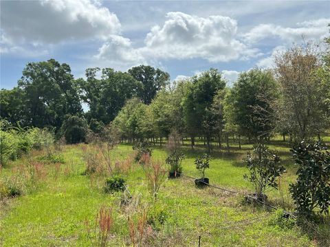 Tiny photo for 300 E Highway 316, Citra, FL 32113 (MLS # OM673823)