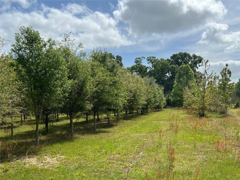 Tiny photo for 300 E Highway 316, Citra, FL 32113 (MLS # OM673823)