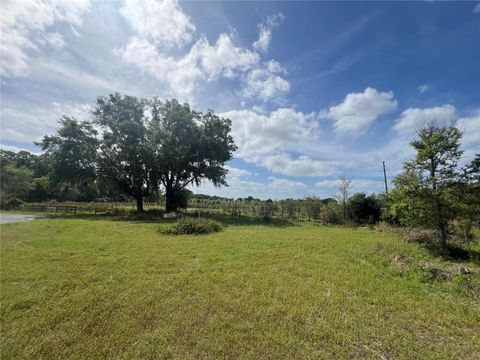 Tiny photo for 300 E Highway 316, Citra, FL 32113 (MLS # OM673823)