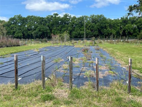 Tiny photo for 300 E Highway 316, Citra, FL 32113 (MLS # OM673823)