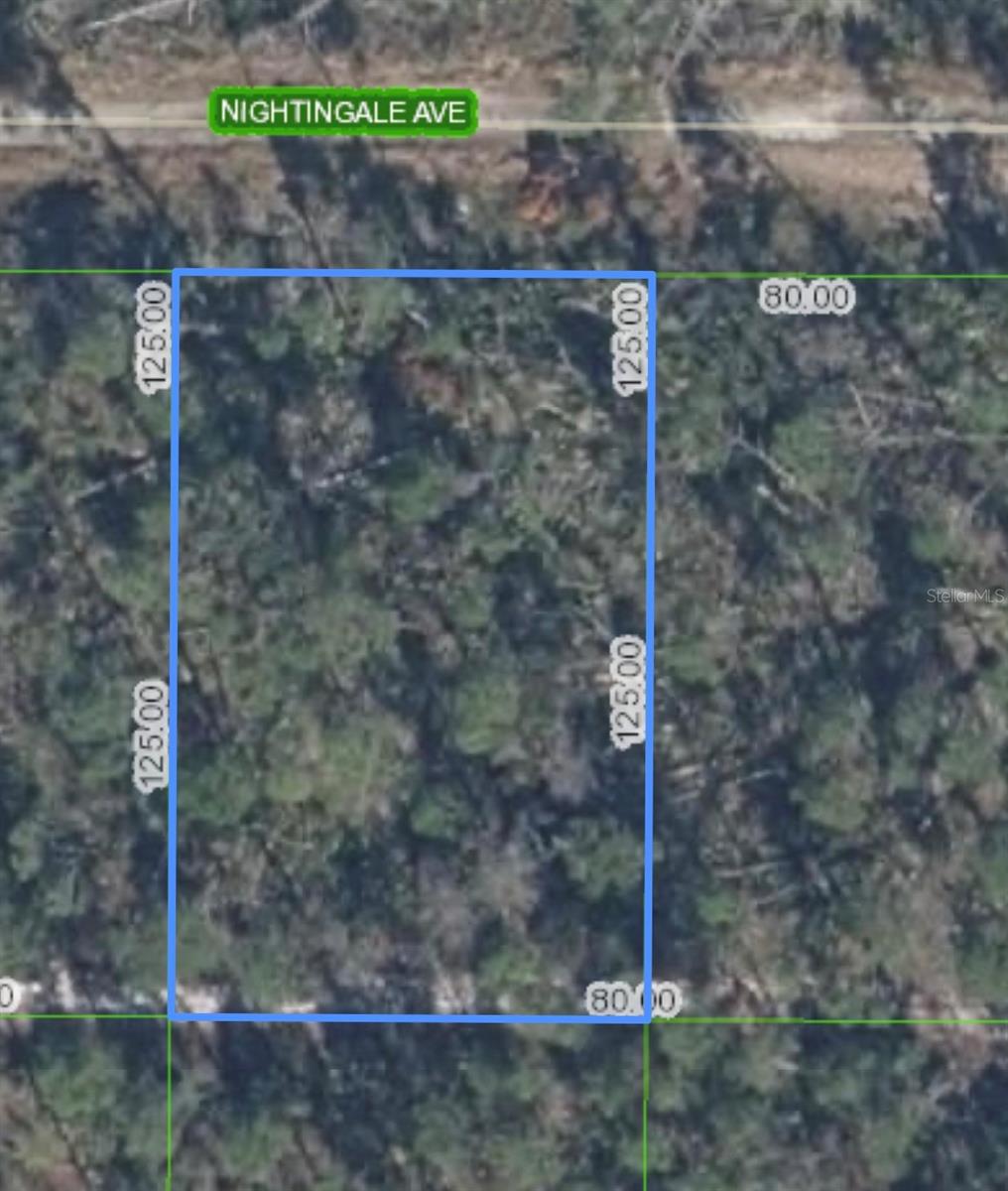 Located in Sebring Hills, SEBRING, FL, PERFECT TO BUILD YOUR DREAM HOME. ZONED R-1, DON'T MISS OUT ON THIS GREAT INVESTMENT. Listing agent is a member of the selling LLC.